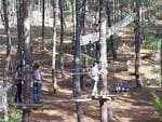 Varias personas en plataformas elevadas realizando actividades en el ecoparque