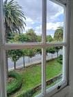 Vista de la calle arbolada a través de una ventana