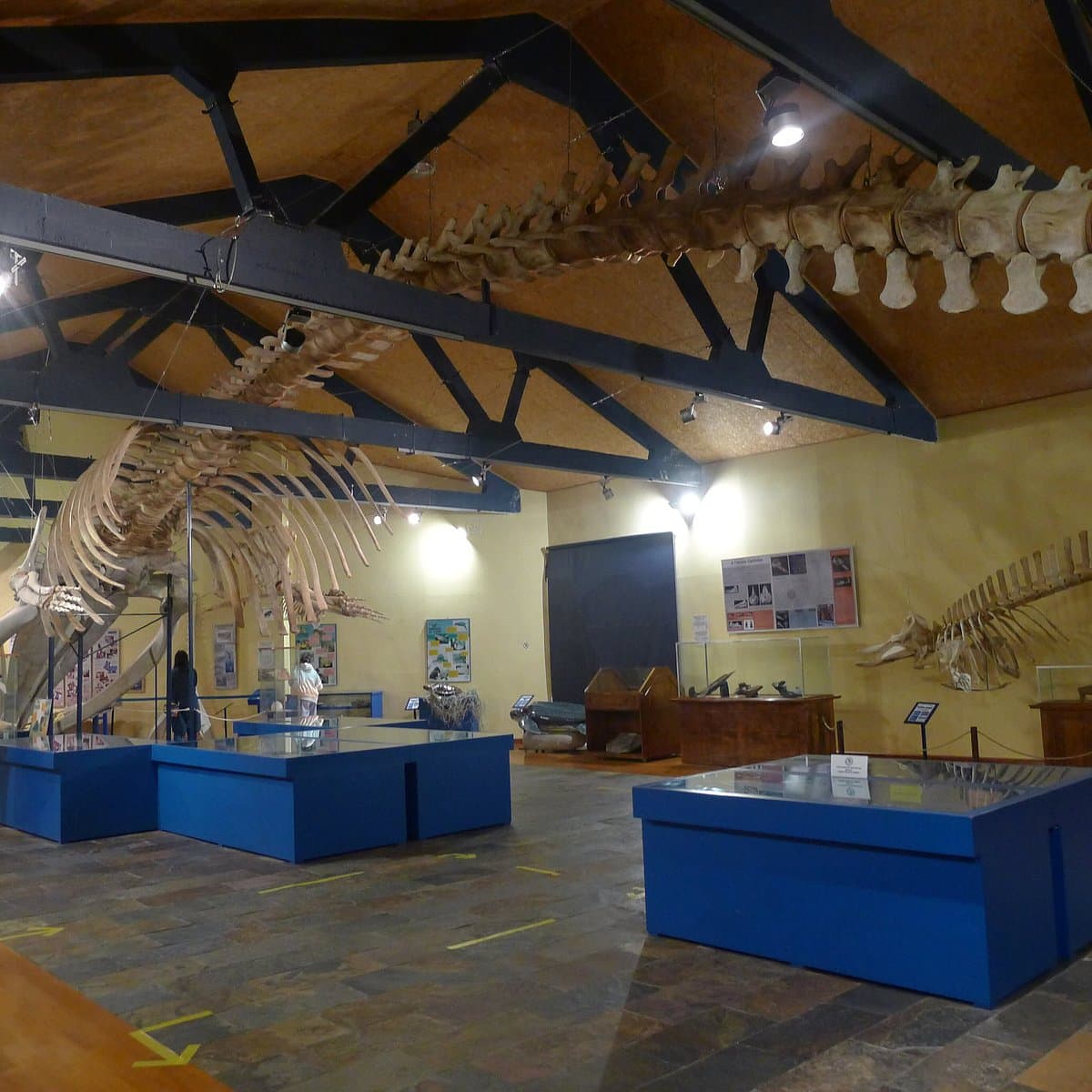Museo de Historia Natural (2025) - All You Need to Know BEFORE You ...
