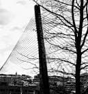 Ponte dos Tirantes - reviews,open hours,photo spots,things to do ...