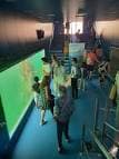 Interior del Observatorio Submarino Nautilus con visitantes