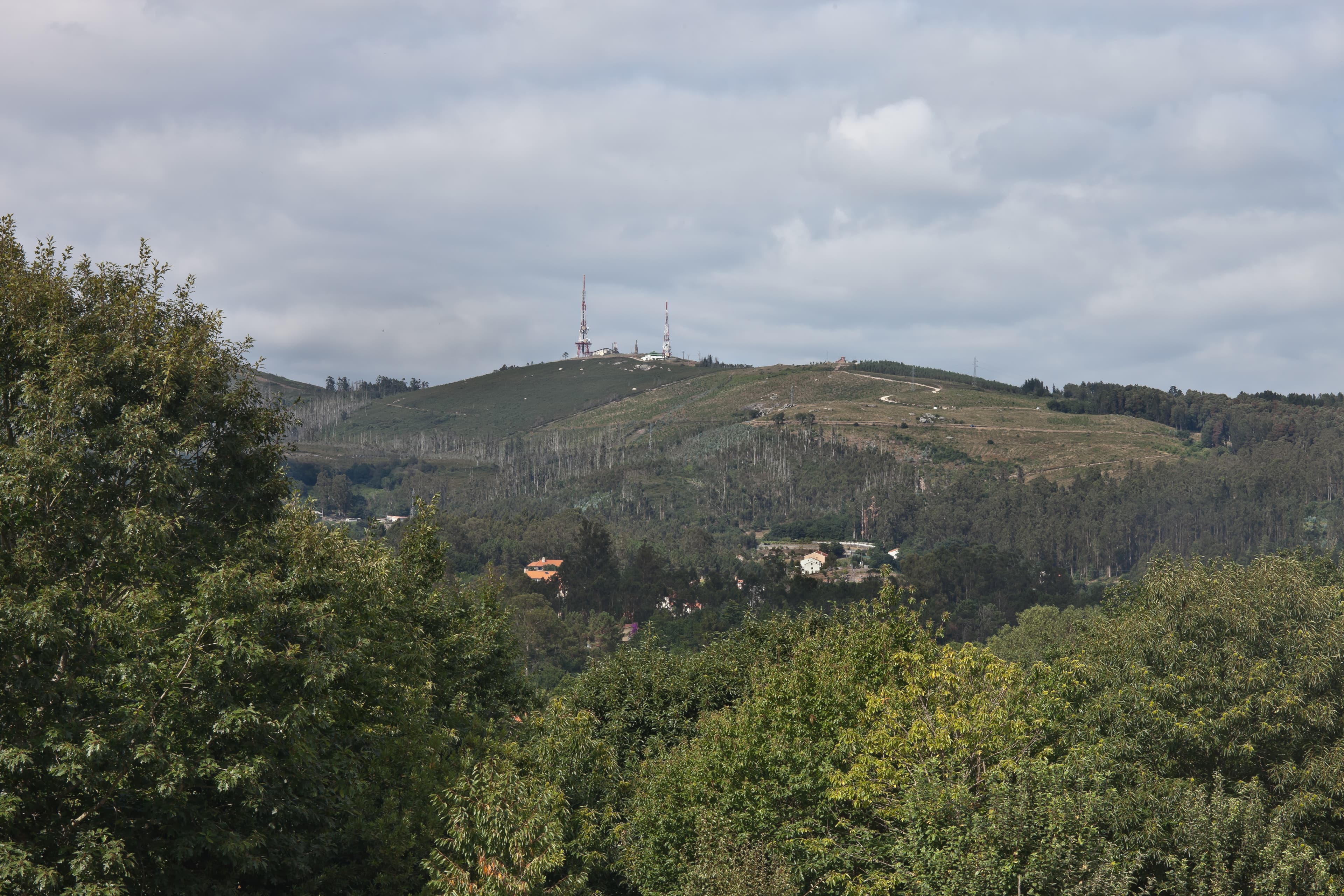 Vista panorámica del Monte Pedroso con vegetación en primer plano