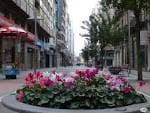 Calle peatonal Benito Corbal con un parterre de flores en primer plano.