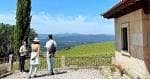Visitantes admirando los viñedos y el paisaje desde un mirador de la bodega.