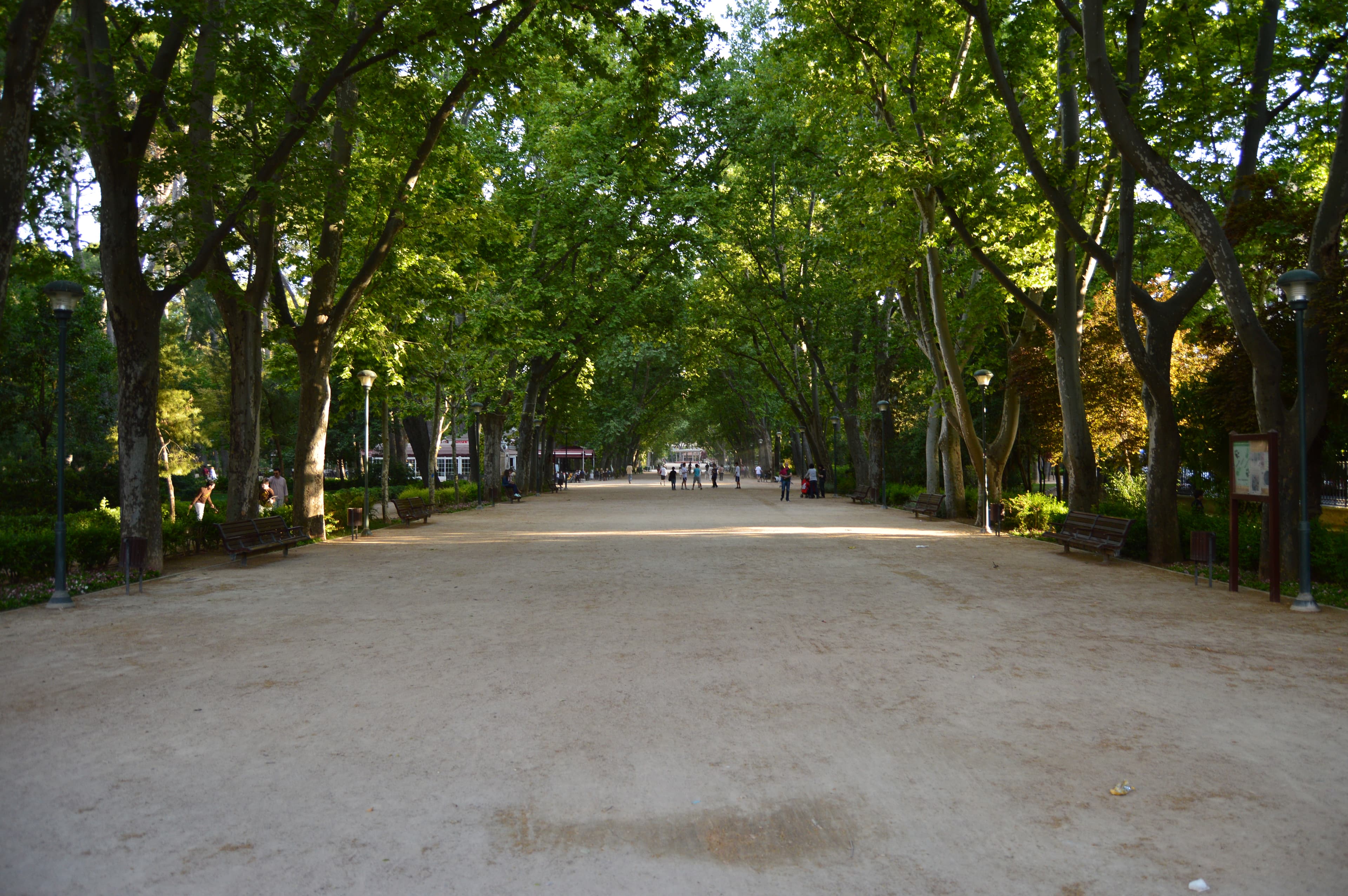 File:Paseo Central del Parque Abelardo Sánchez. Centro. Albacete ...