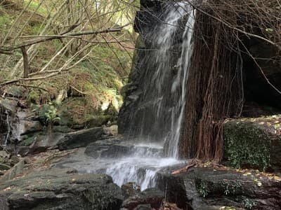 Cascada en un entorno natural boscoso cerca de la Carballeira dos Ramallos