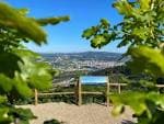 Vista panorámica de la ciudad de Pontevedra desde el mirador del Parque Forestal da Tomba, enmarcada por la vegetación.