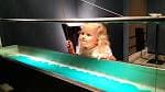 Niña interactuando con una exhibición de ondas en el museo