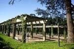 Pérgola con vegetación en el Parque de A Riouxa