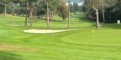 Limpieza de desechos tras los magostos de Montealegre