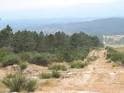 Camino rural entre pinos y matorrales en la Serra da Martiñá