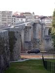 Detalle del Puente Romano de Ourense con vegetación en primer plano