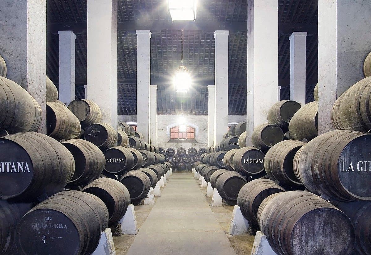 Bodegas Hidalgo La Gitana (2025) - All You Need to Know BEFORE You ...