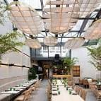 Comedor principal con mesas, árboles decorativos y lámparas de diseño