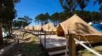 Tiendas de glamping en el camping de Isla de Ons rodeadas de árboles