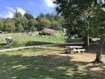 Zona de picnic con mesas y bancos de piedra bajo los árboles en un área verde