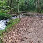 Río Gafos con orillas boscosas y sendero de tierra