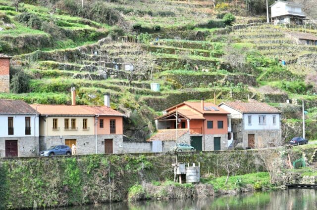 Casas tradicionales a orillas del río con viñedos en terrazas al fondo