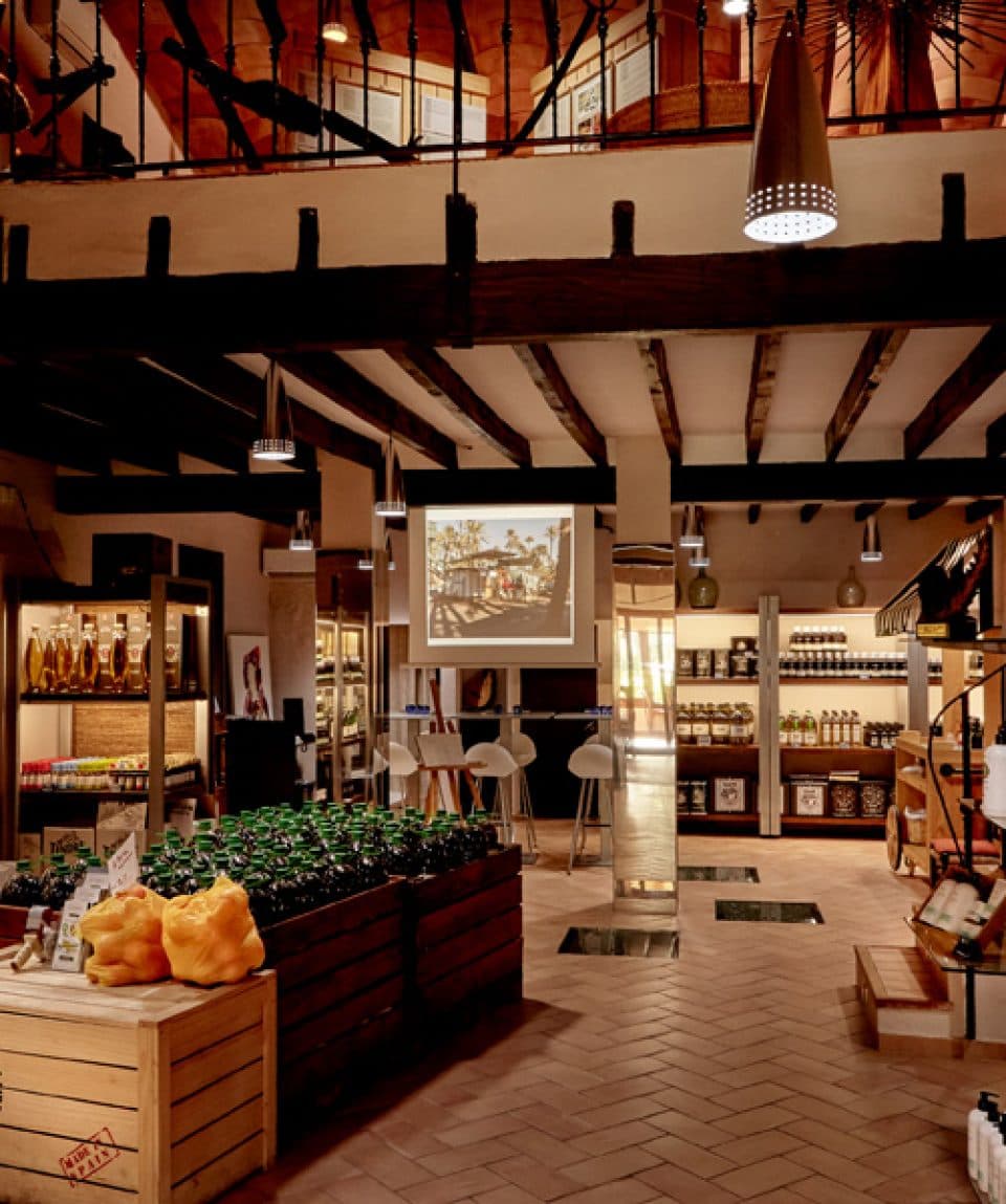 Visita guiada a la Almazara El Tendre – VisitElche