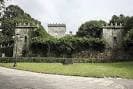 Muro antiguo del Pazo de Castrelos cubierto de vegetación