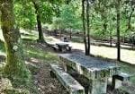 Área de picnic con mesas y bancos de piedra bajo los árboles en el Parque Forestal de Beade