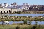 Panorámica del río Miño con el Puente Romano y la ciudad de Ourense