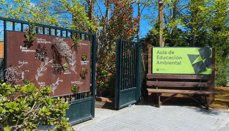 Tesoros de los bosques y espacios forestales”: programa de ...