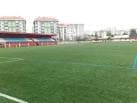 Vista del campo de fútbol con gradas y edificios al fondo