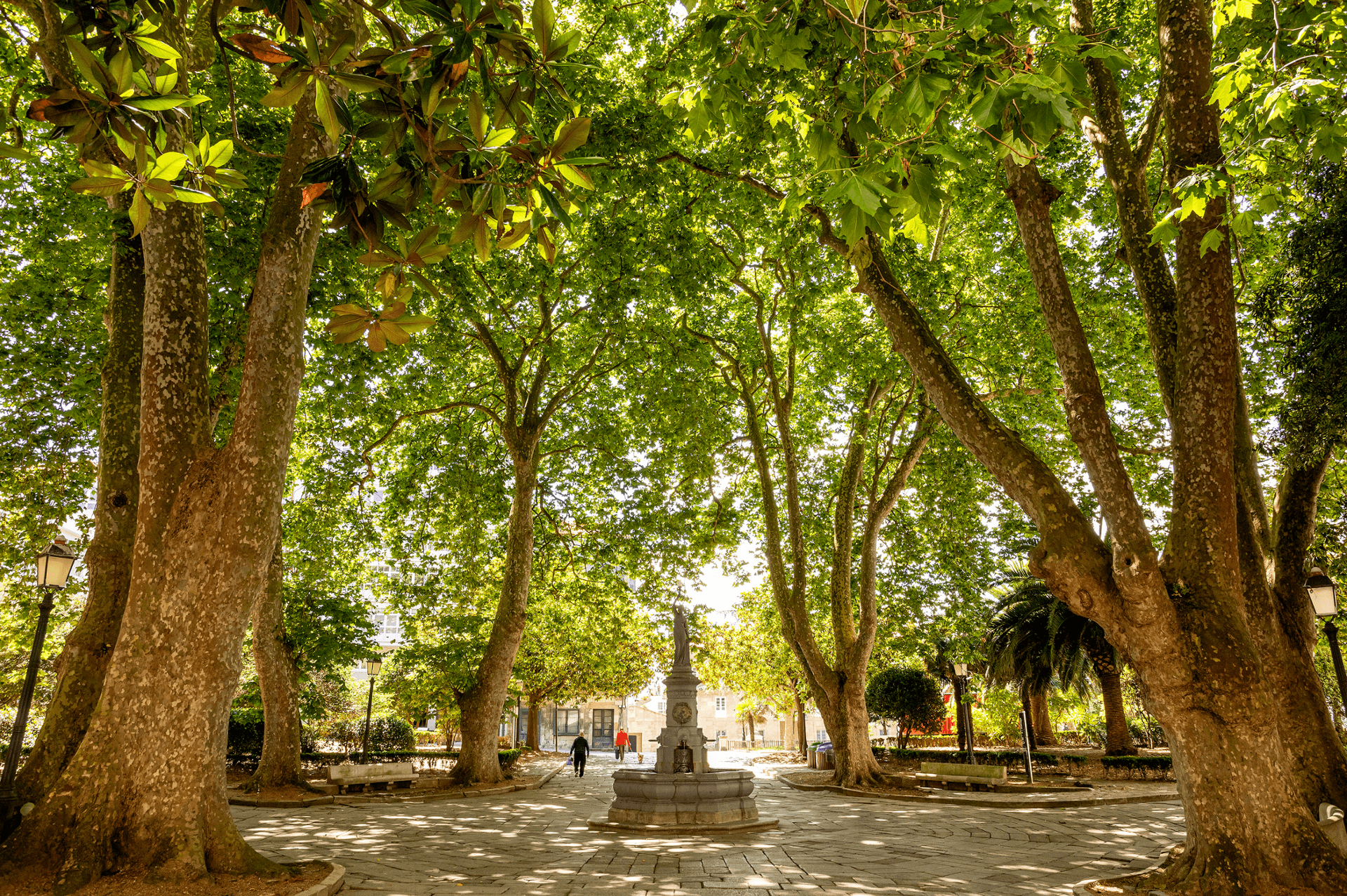 Vista panorámica de la Praza de Azcárraga con frondosos árboles y la fuente central.