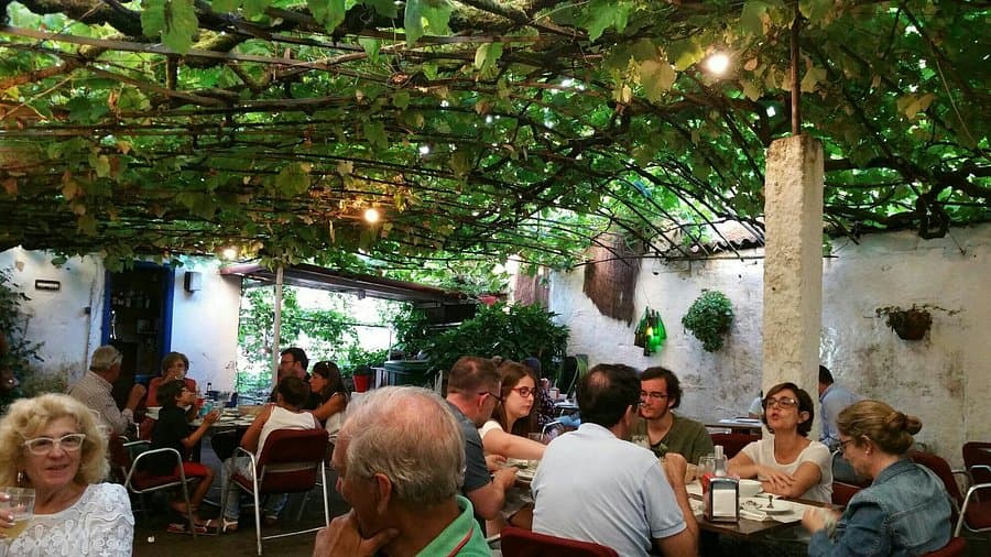 Terraza exterior de O Parvadas con mesas y vegetación