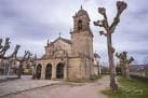 Perspectiva de la Iglesia de Santa Cristina de Lavadores en un día nublado con árboles sin hojas