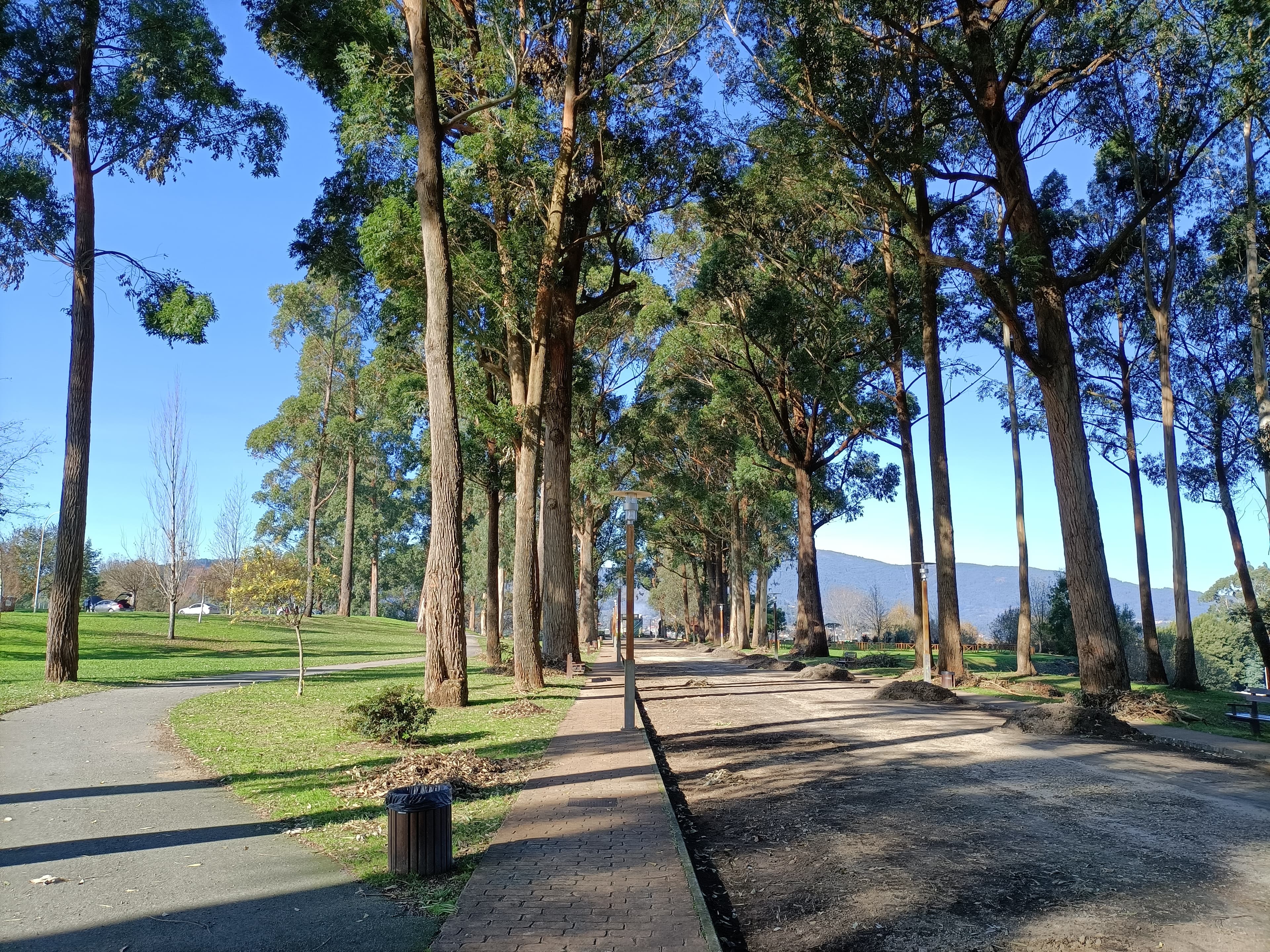 Sendero arbolado en el Parque del Mirador de Monte Porreiro