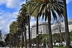 Avenida de palmeras con edificios al fondo en los jardines