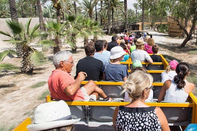 2025 Rio Safari Elche with Transport from Benidorm (El Albir) - w ...
