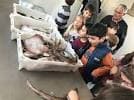 Actividad educativa con niños observando especies marinas en la Lonxa