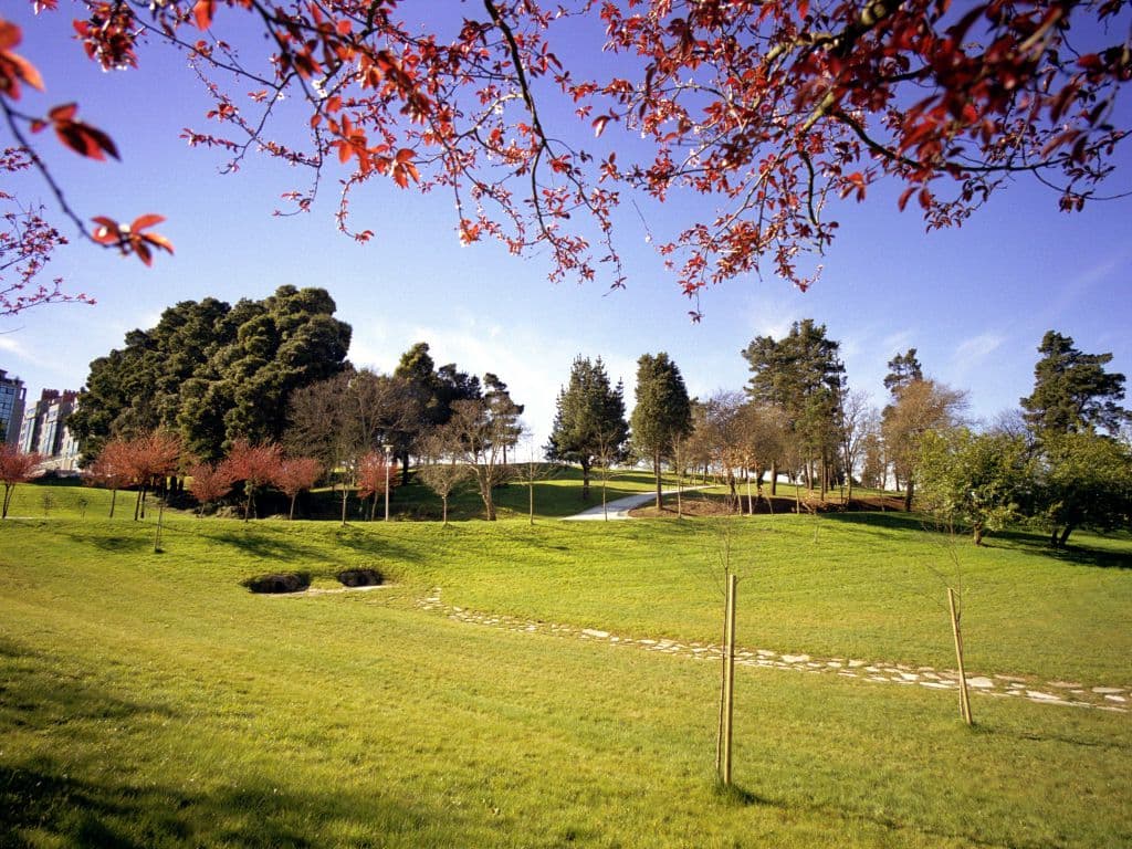 Vista panorámica del Parque Eugenio Granell con árboles y césped bajo un cielo azul.