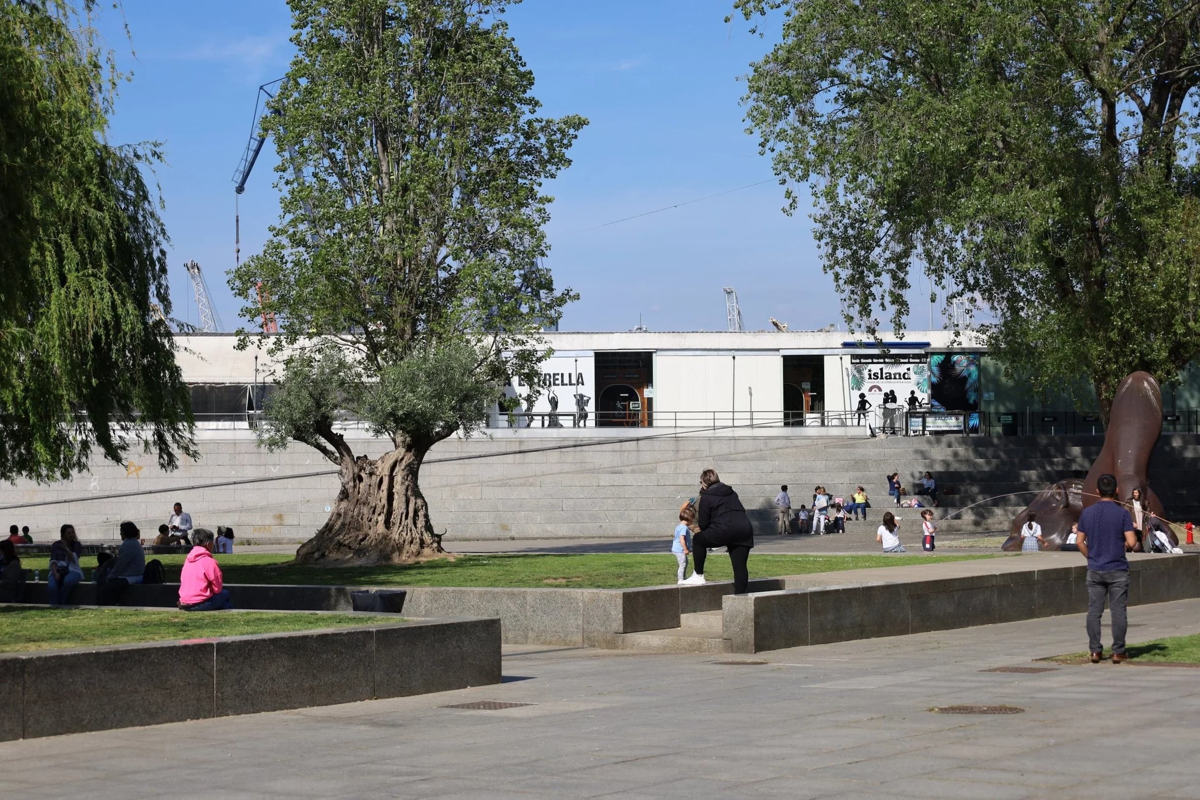 Tardeo en Galidancia