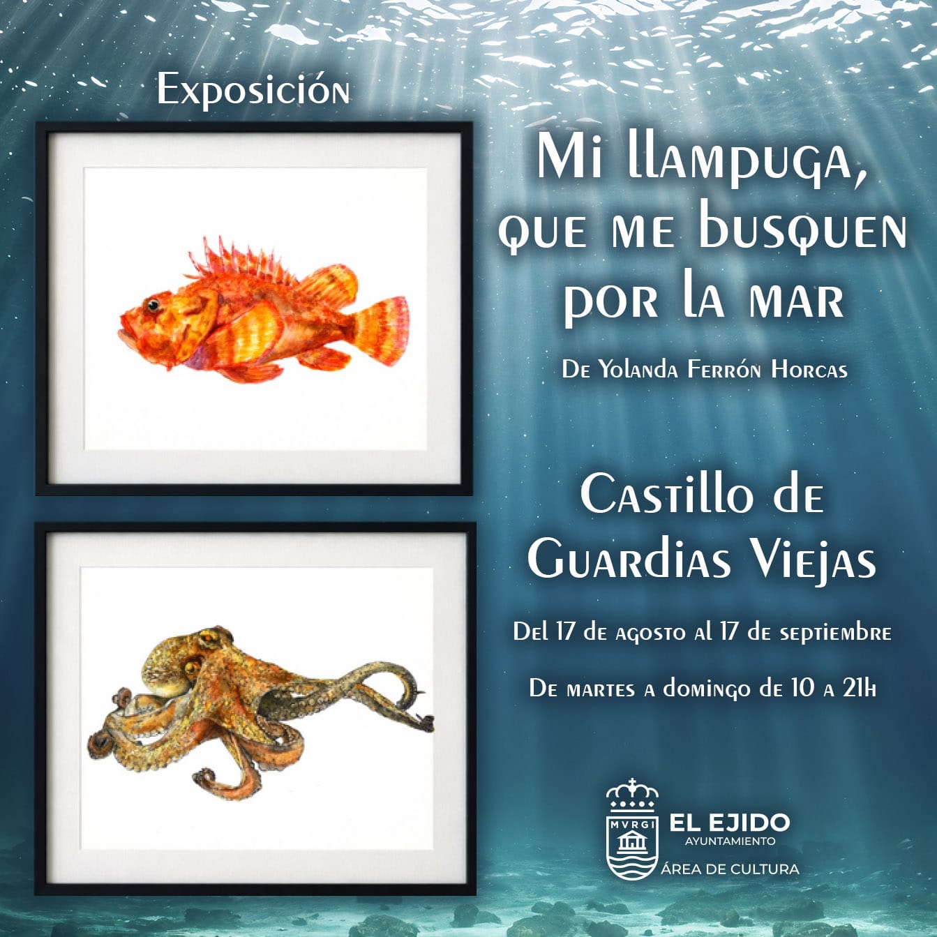 Verano Cultural 2026 - Exposición «Mi llampuga, que me busquen por la mar»
