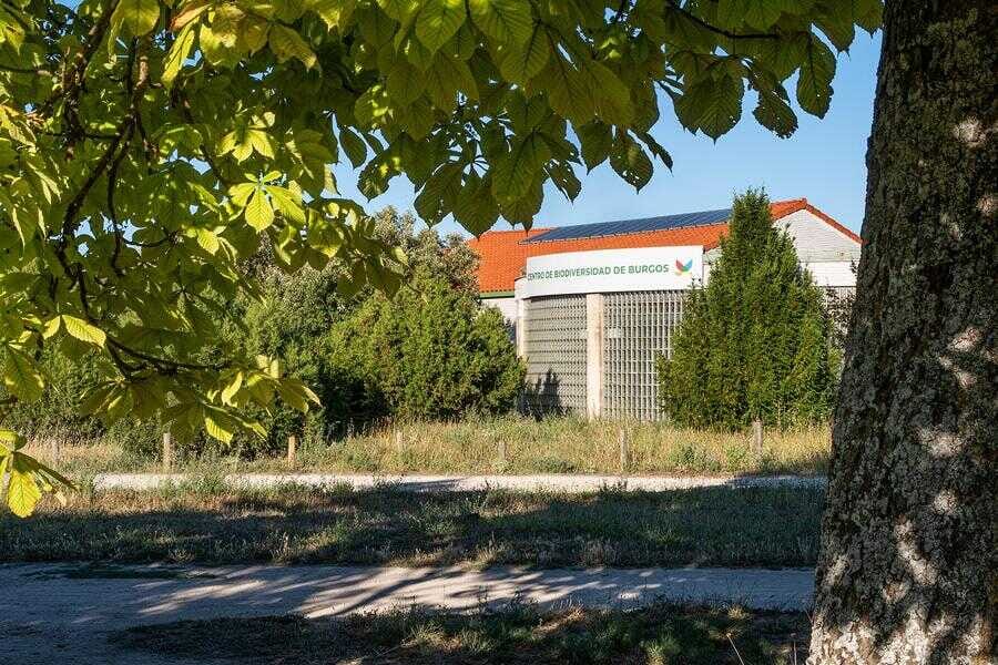 Visita guiada al Centro de Biodiversidad