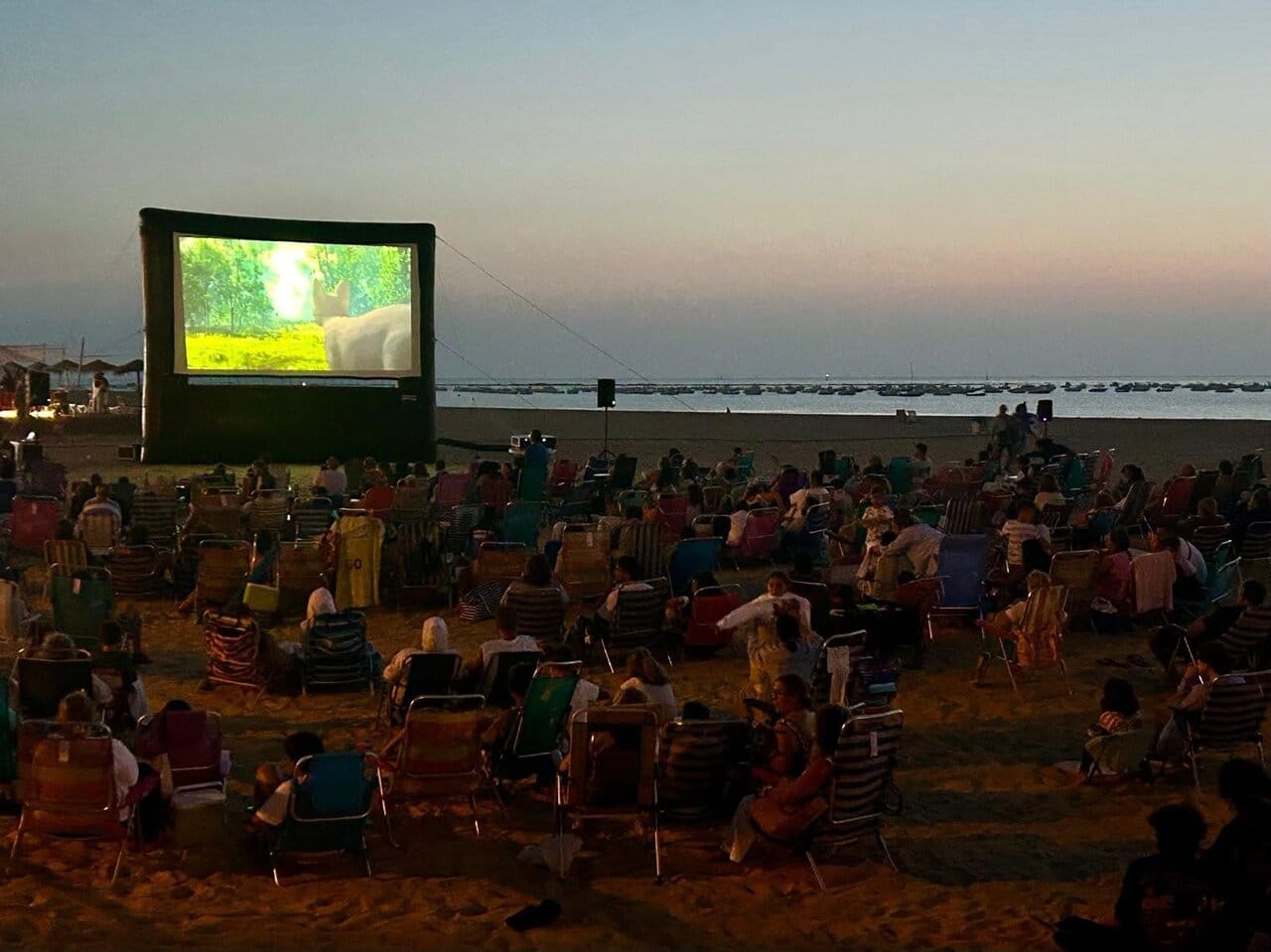 Cine de Verano: Mufasa: El Rey León