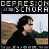 Concierto de Depresión Sonora