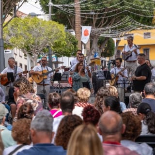 VIII Festival de Solistas El Mesturao