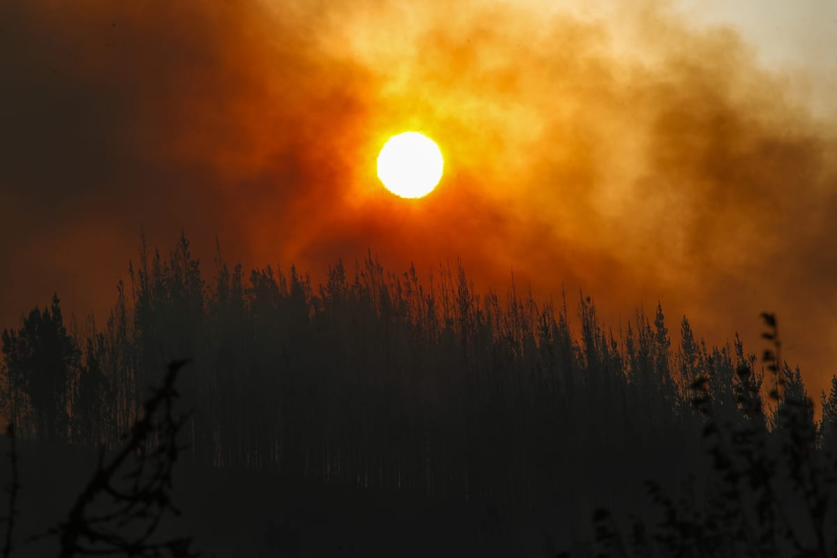 Lume, Foc, Fuego