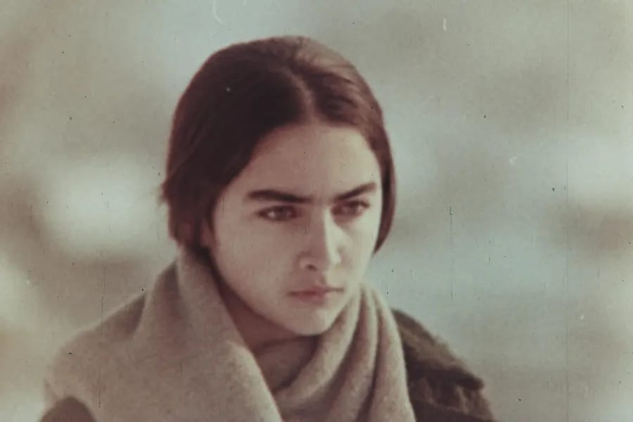 Mes fantômes arméniens