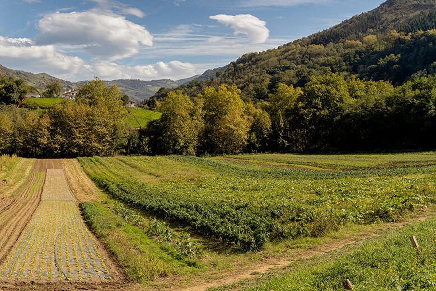 Landa-inguruneko ekoizpen eredu jasangarriak