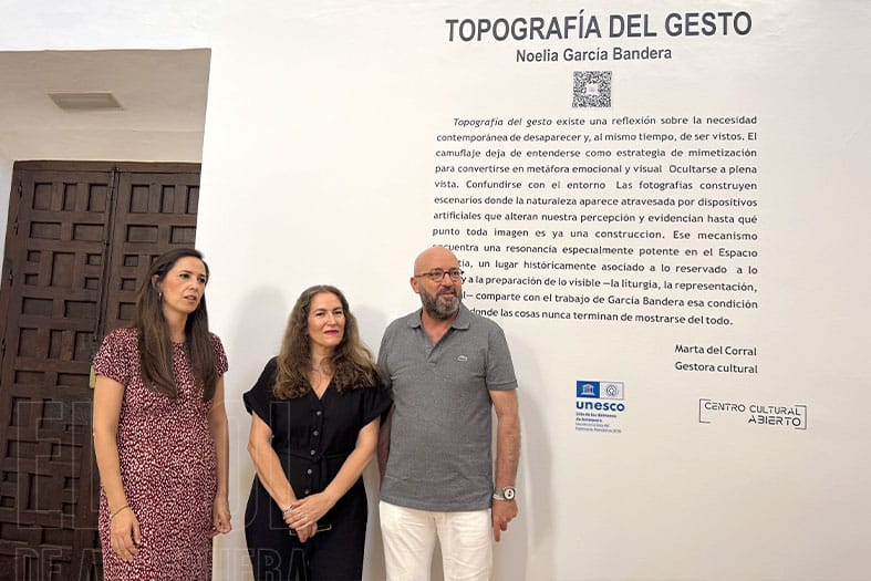 Topografía del Gesto