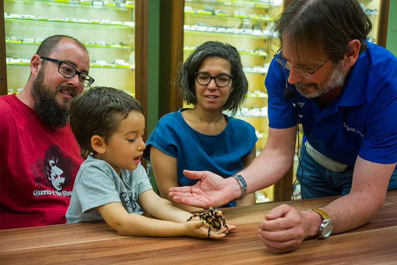 Taller familiar: La hora del artrópodo