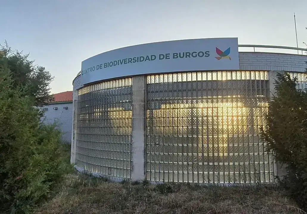Taller de anillamiento en el Cerro de San Miguel