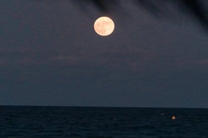 Moonlit Dinners at Beachouse