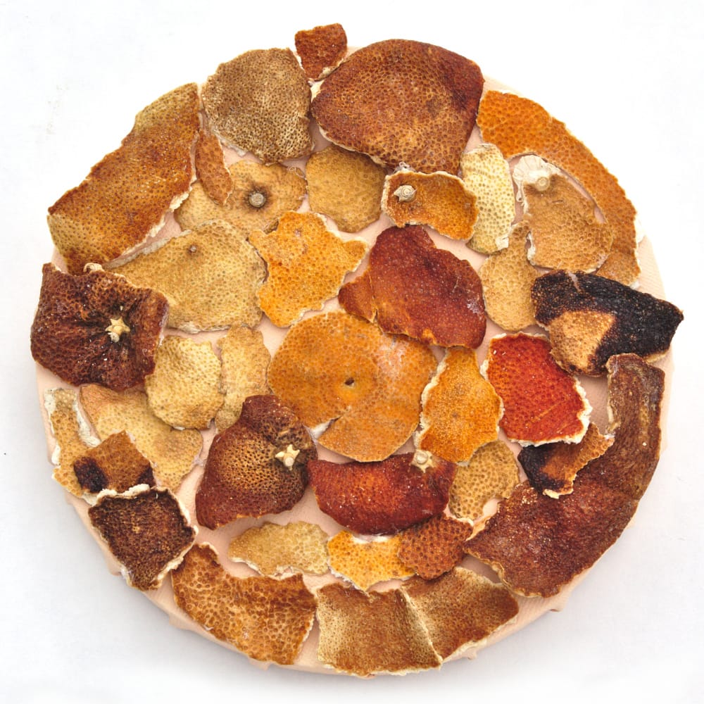 Apertura de la exposición 'Somos piel'